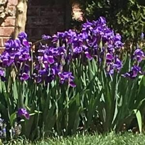 Meet your Posher, Margo